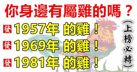 1981屬雞一生運|【屬雞1981】屬雞1981年：重返巔峯！43歲大運全解析